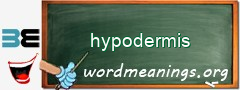 WordMeaning blackboard for hypodermis